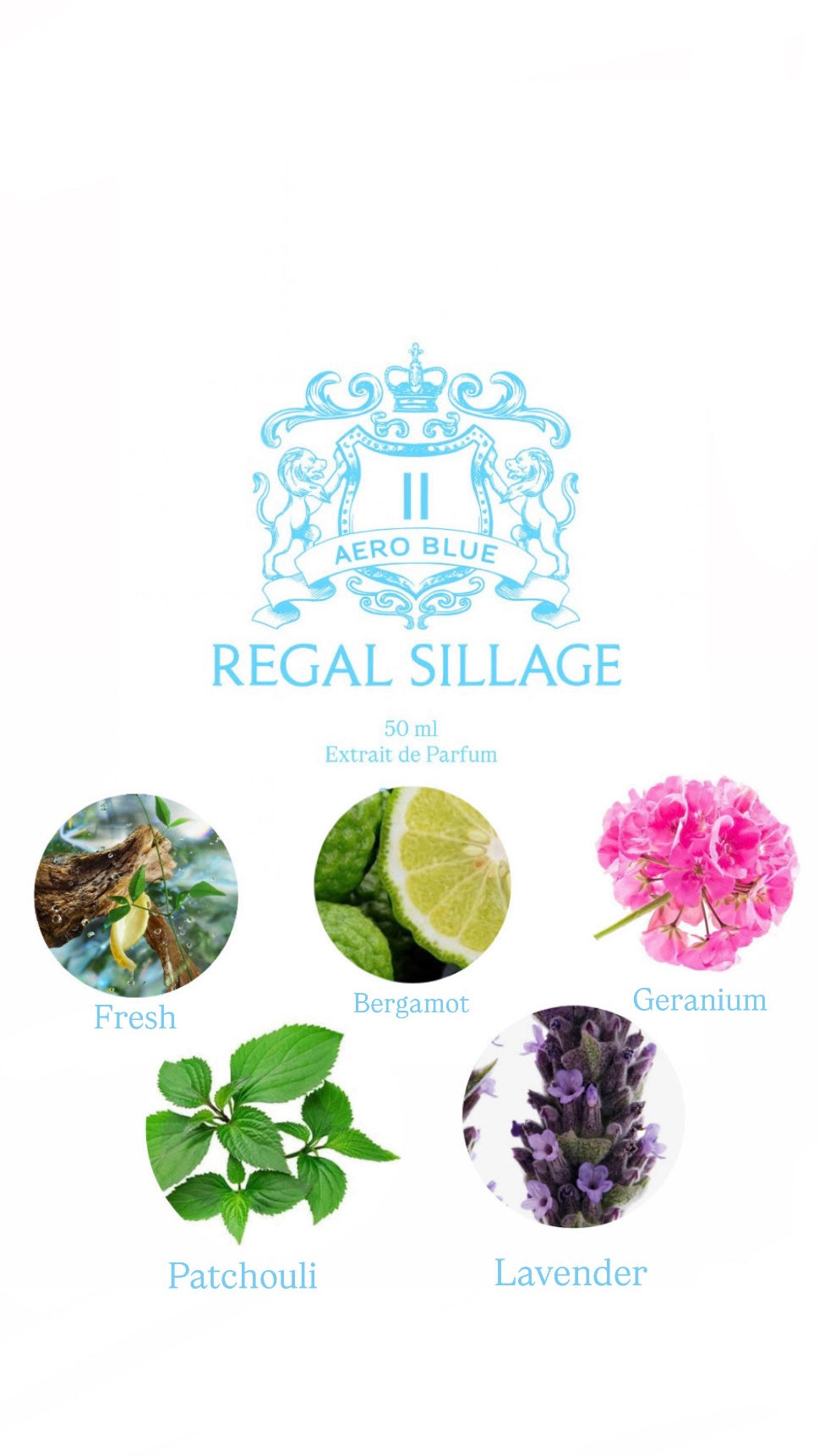 Aero Blue II – Extrait de Parfum 50 ml